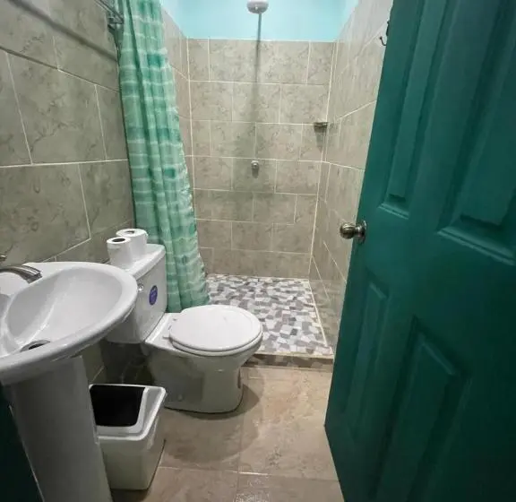 آپارتمان 1 خوابه با بالکن, The Jungle Container