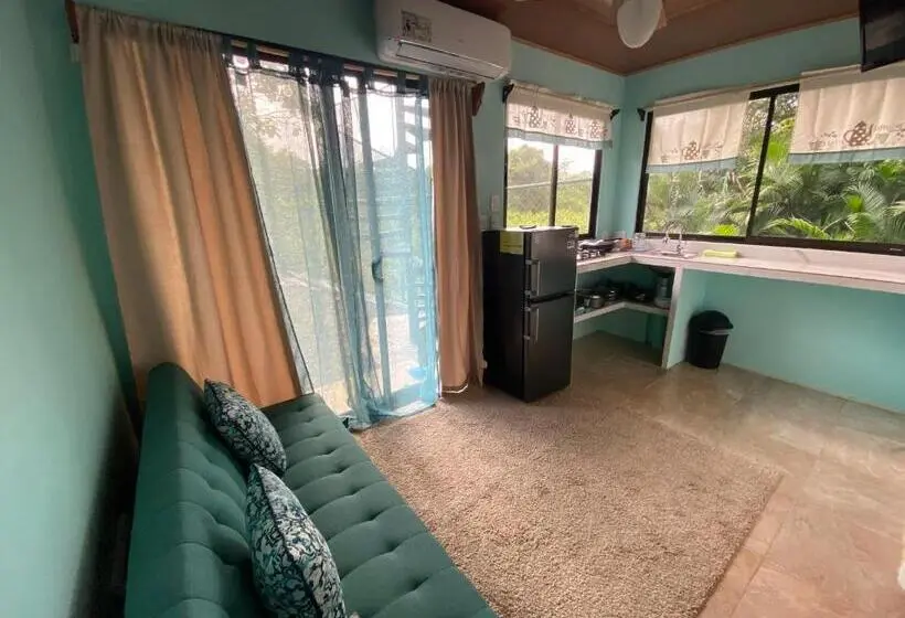 آپارتمان 1 خوابه با بالکن, The Jungle Container