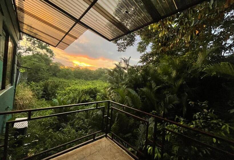 דירה בת חדר שינה 1 עם מרפסת, The Jungle Container