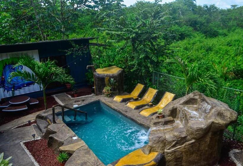 חדר משפחתי, The Jungle Container