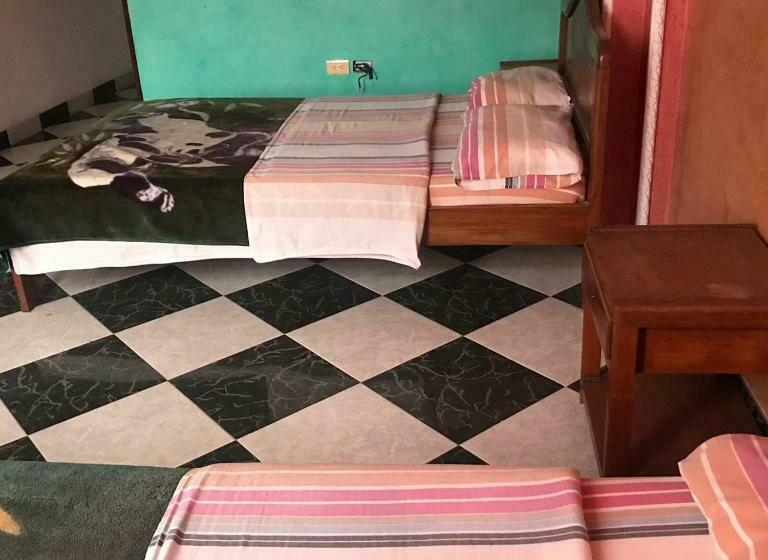 ファミリールーム, Sion