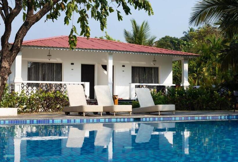 חדר סטנדרט נוף לבריכה, Wild Berry Resort Agonda