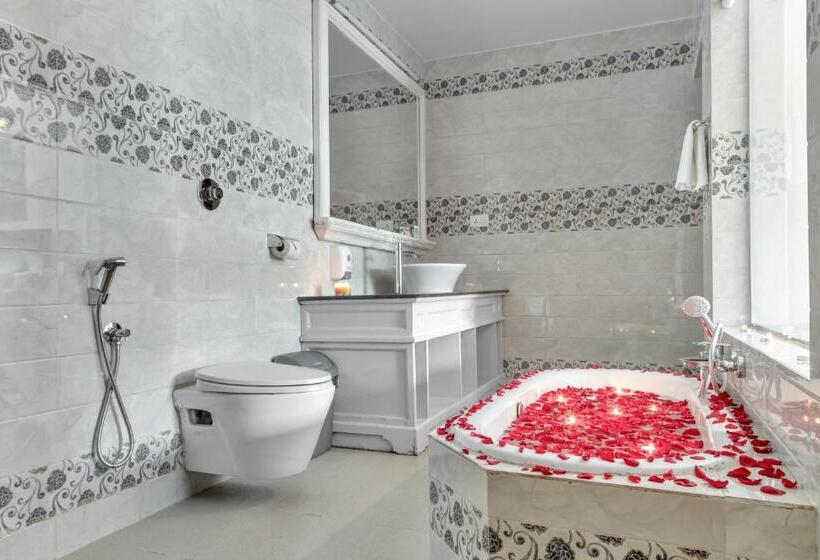 חדר דלוקס, Wild Berry Resort Agonda