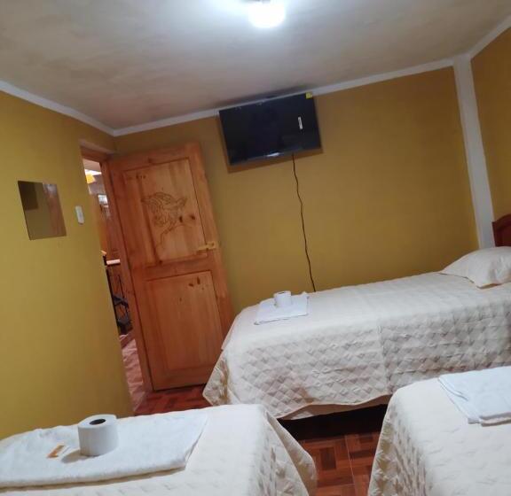 חדר קלאסי לשלושה, Dream House B&b