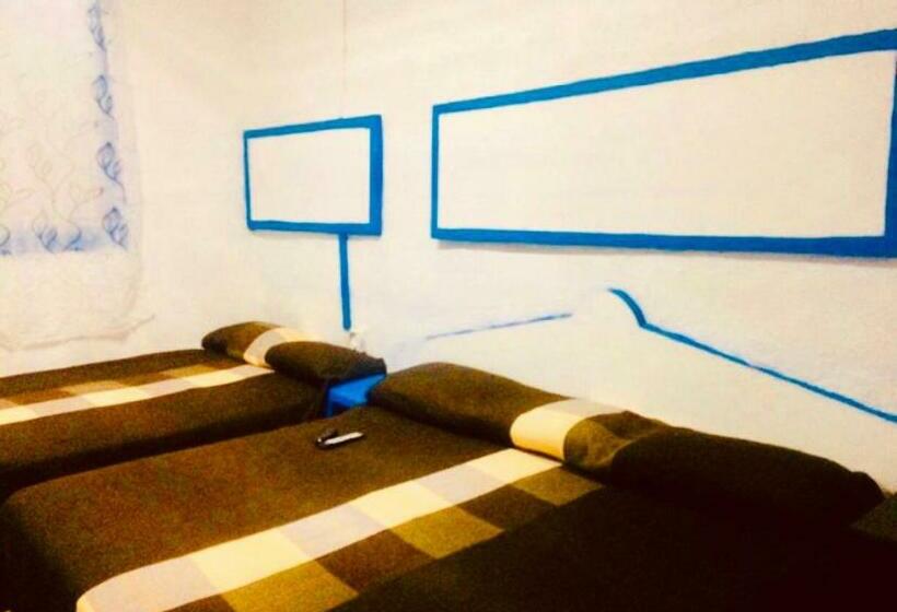 جناح ديلوكس, Casa Mediterraneo