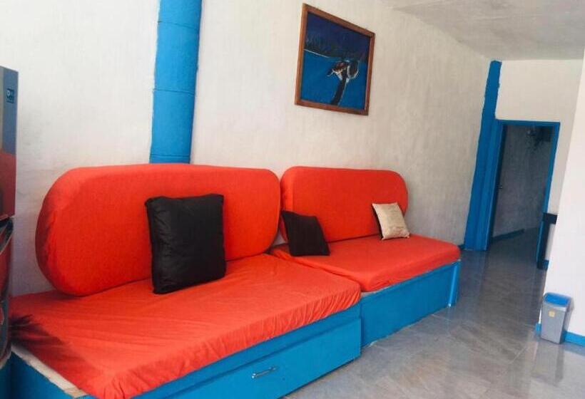 جناح ديلوكس, Casa Mediterraneo