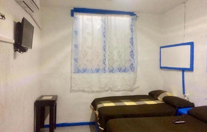 جناح ديلوكس, Casa Mediterraneo