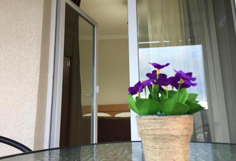 اتاق استاندارد, Guest House Maradona