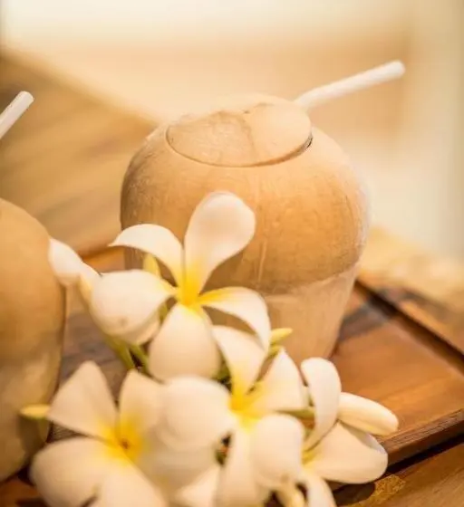 جناح, @hostel Phangan