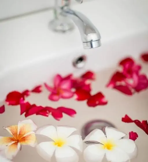 جناح, @hostel Phangan