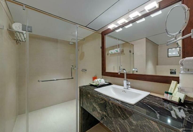 Номер Стандарт, The Fern Residency, Satara Maharashtra