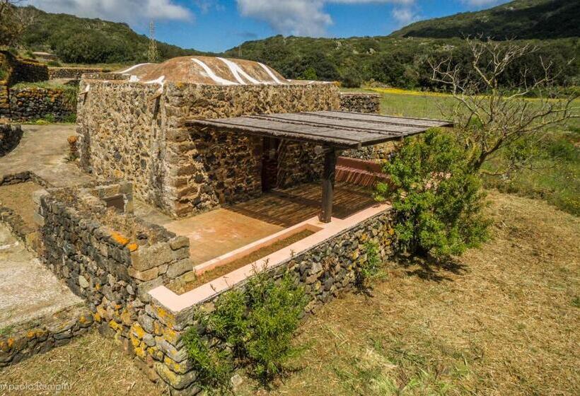 בית, 2 חדרי שינה, 2 Gatti Sogno