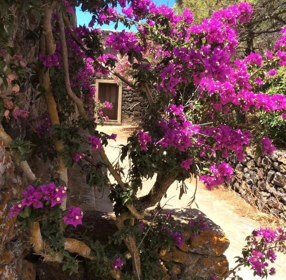 דירת חדר בקומת קרקע, 2 Gatti Sogno