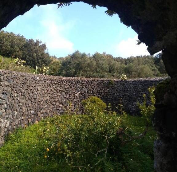 דירת חדר סופריור, 2 Gatti Sogno