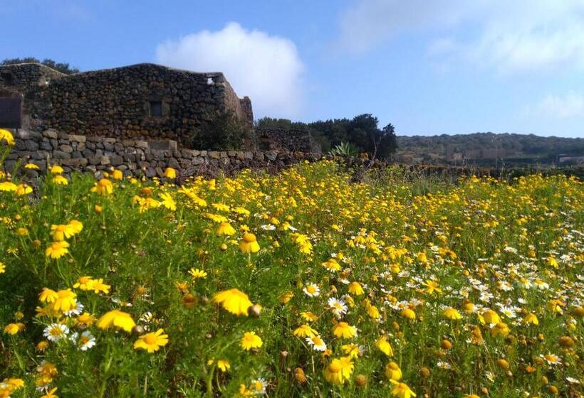 דירת חדר סופריור, 2 Gatti Sogno