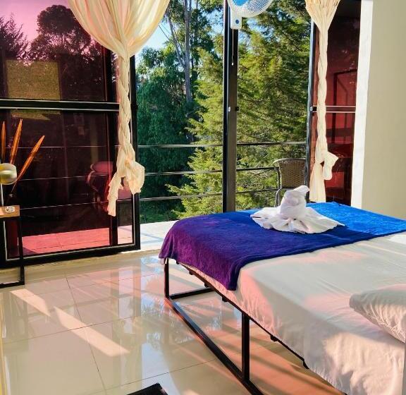 בקתה סטנדרטית, La Madriguera