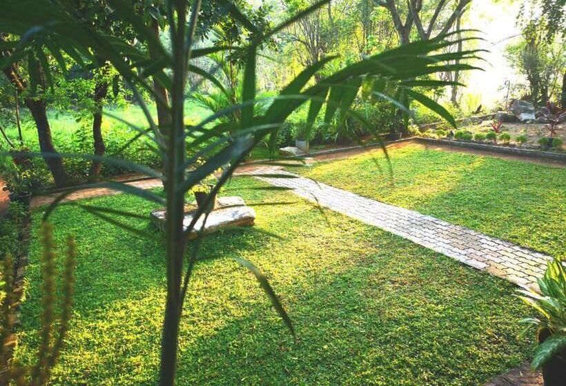 デラックスルーム, The Cattleya Guest House Sigiriya