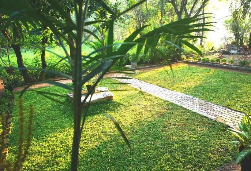 デラックスルーム, The Cattleya Guest House Sigiriya