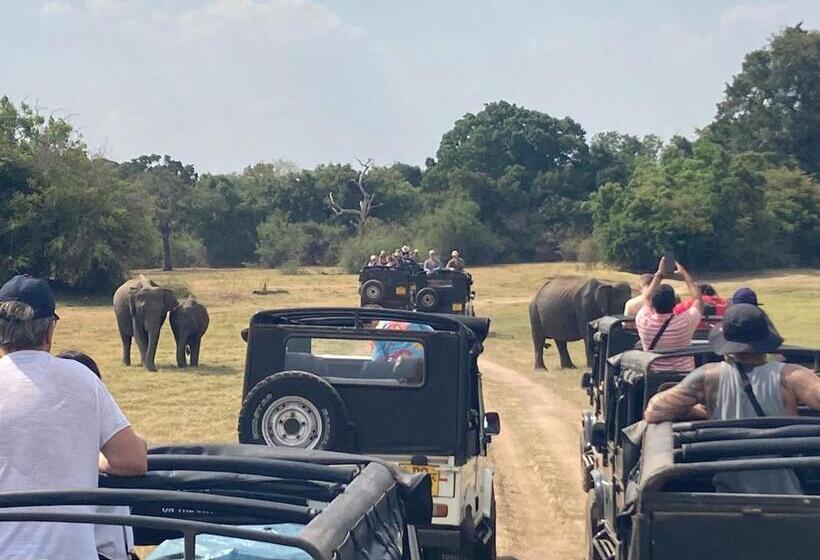 デラックスルーム, The Cattleya Guest House Sigiriya