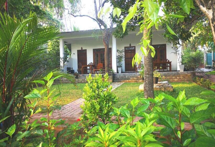 デラックスルーム, The Cattleya Guest House Sigiriya