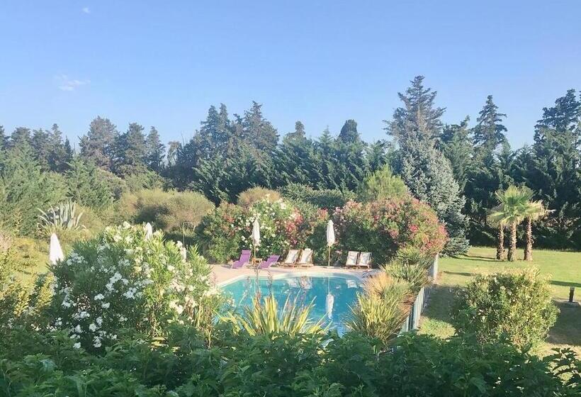 プールの見えるスタンダードトリプルルーム, Mas Les Fleurs D’hilaire