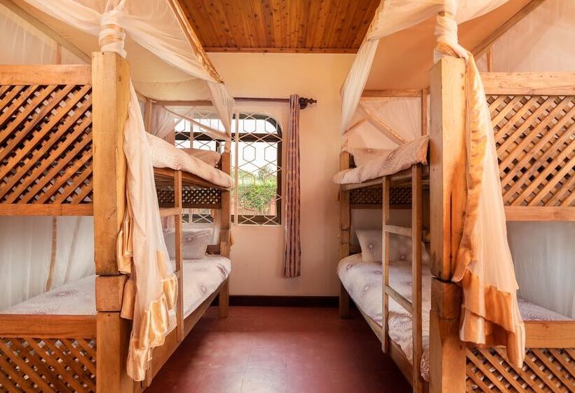 공동 객실, Footprints Hostel