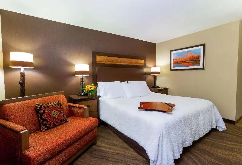 Suite King Bed