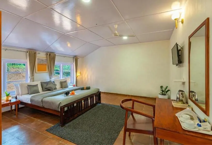 Chambre Deluxe, Zostel Plus Wayanad