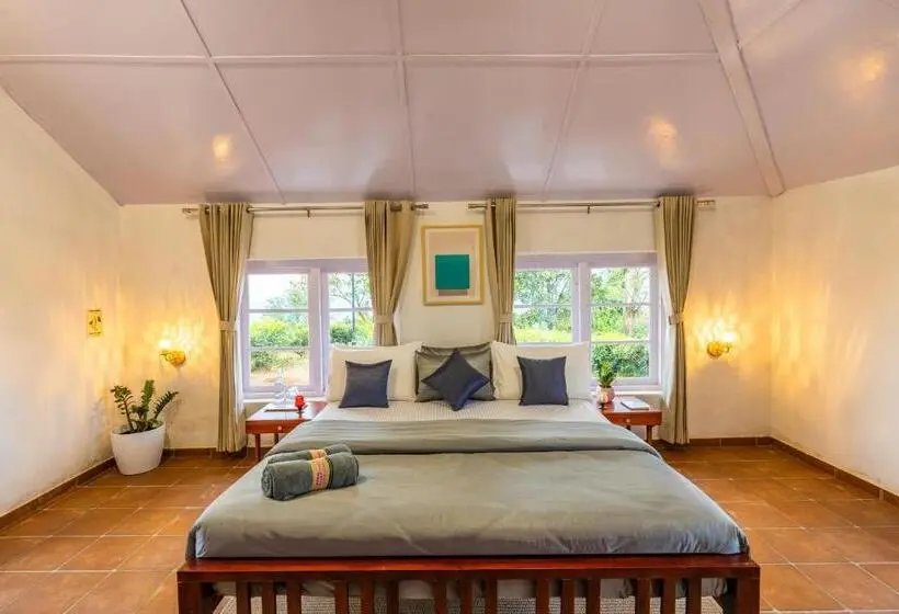 Chambre Deluxe, Zostel Plus Wayanad