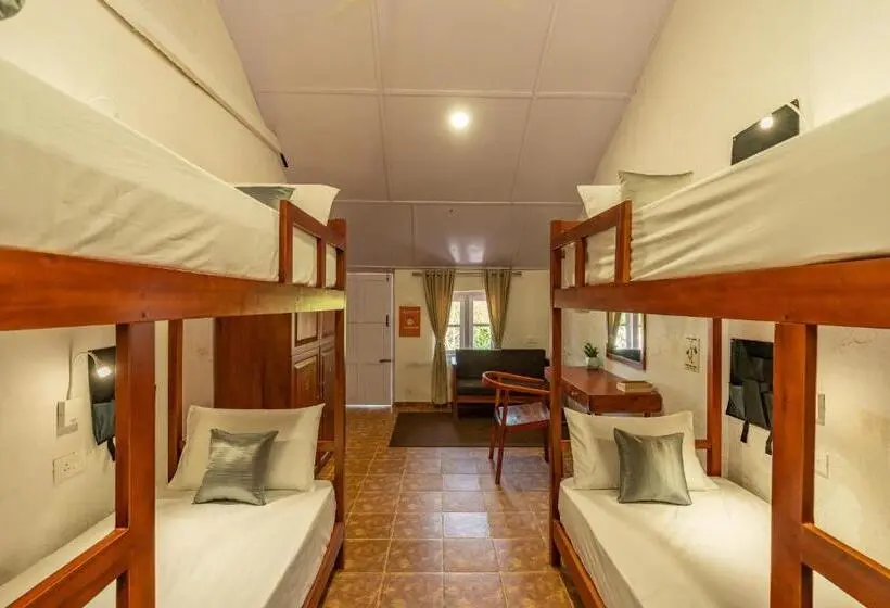 Lit en Chambre Commune, Zostel Plus Wayanad