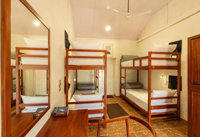 Lit en Chambre Commune, Zostel Plus Wayanad
