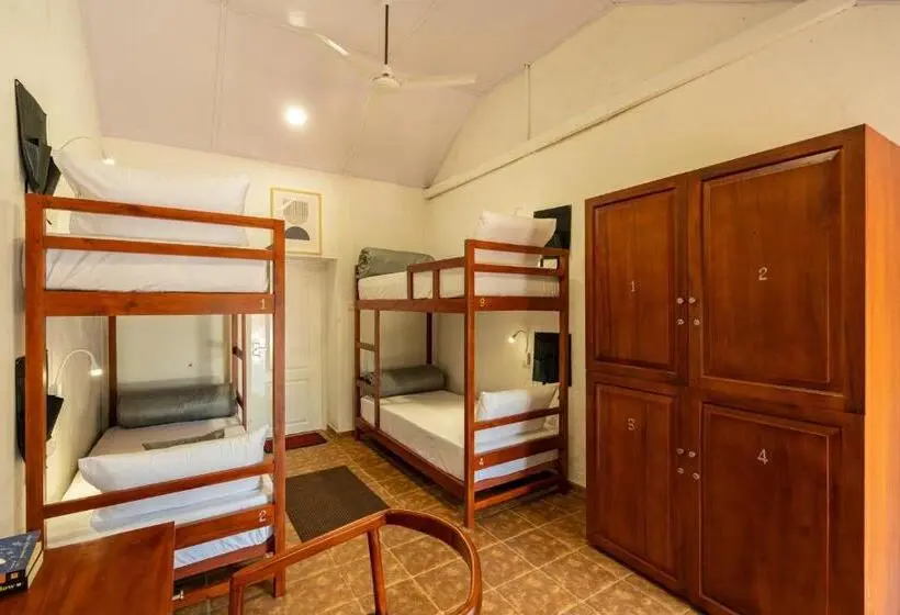 Lit en Chambre Commune, Zostel Plus Wayanad