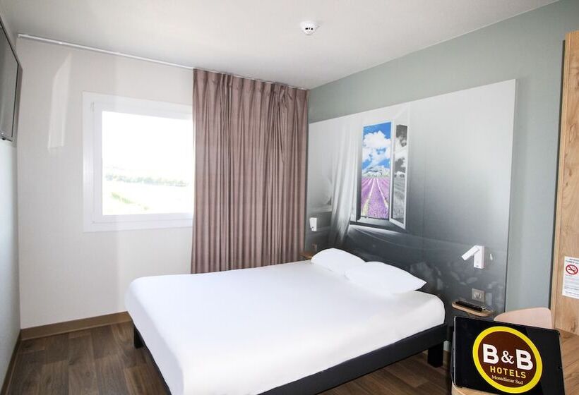 חדר סטנדרט מותאם לאדם עם מוגבלויות, B&b Hotel Montélimar Sud