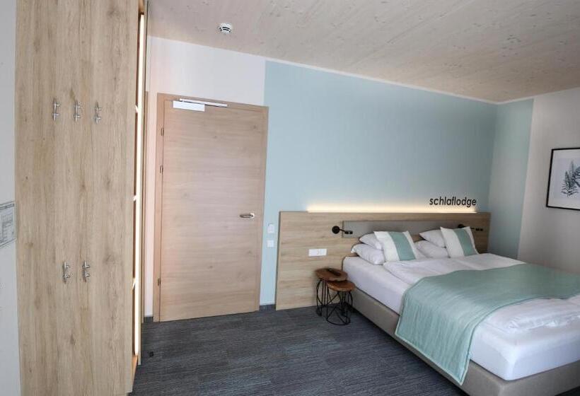 חדר סטנדרט מותאם לאדם עם מוגבלויות, Donau Lodge