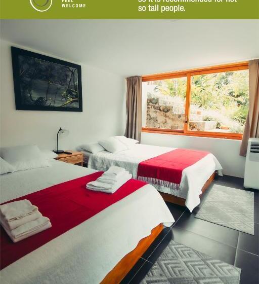 标准间, Tagua Lodge