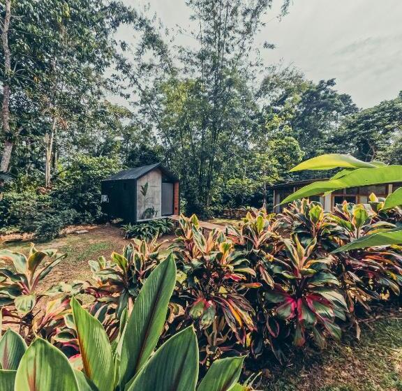 带阳台的豪华间, Tagua Lodge