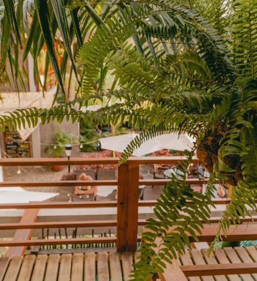 디럭스 룸, Villa Eden Palomino