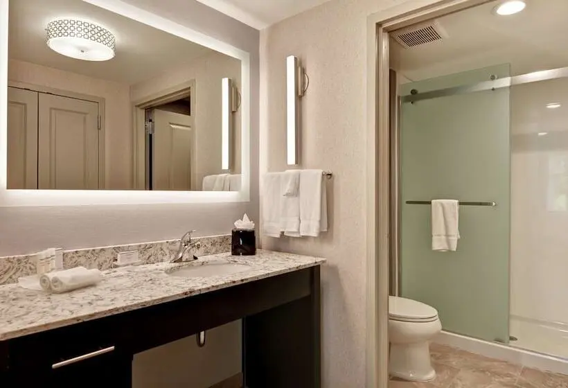 سوییت, Homewood Suites By Hilton Poughkeepsie