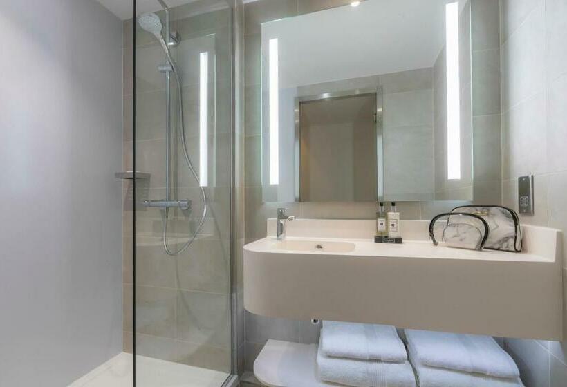 اتاق استاندارد با تخت بزرگ, Marlin Hotel Stephens Green