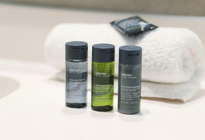 适合残疾人士使用的带超级大床的标准间, Marlin Hotel Stephens Green