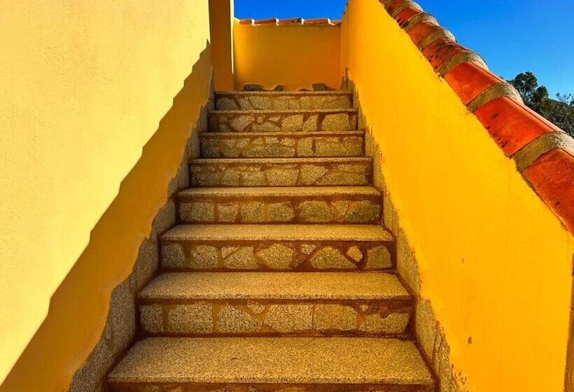 דירת שני חדרים, I Menhirs