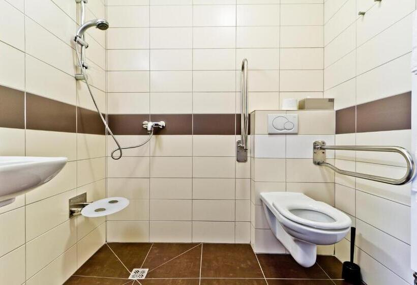 Номер Стандарт Адаптированный для Инвалидов, Penzion Jelínek