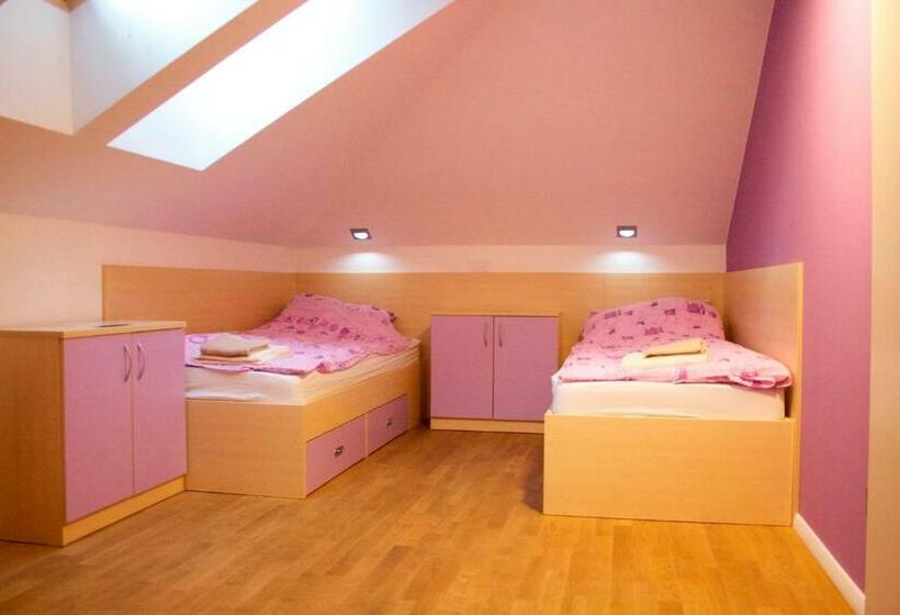 تختخواب در اتاق مشترک, Youth Hostel Krško