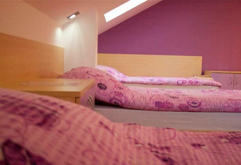 تختخواب در اتاق مشترک, Youth Hostel Krško