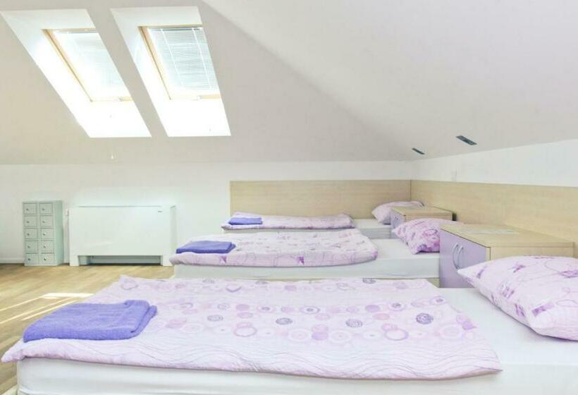 تختخواب در اتاق مشترک, Youth Hostel Krško