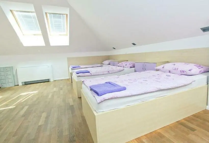 تختخواب در اتاق مشترک, Youth Hostel Krško