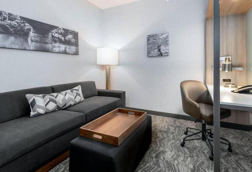 جناح سرير كينج, Springhill Suites By Marriott Indianapolis Westfield