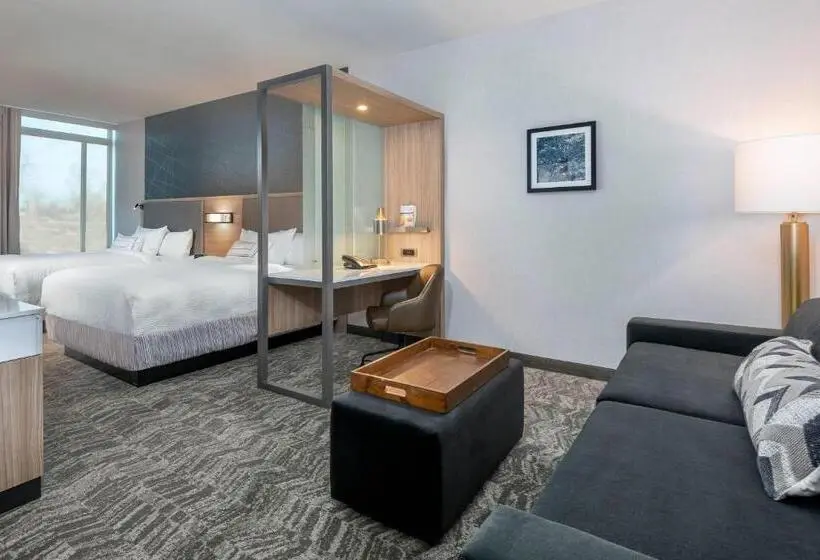 ２ベッドスイートルーム, Springhill Suites By Marriott Indianapolis Westfield