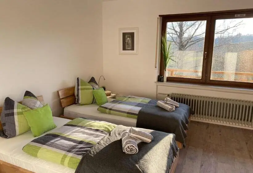 スタンダードルーム, Pension Am Hohberghof Dielheim