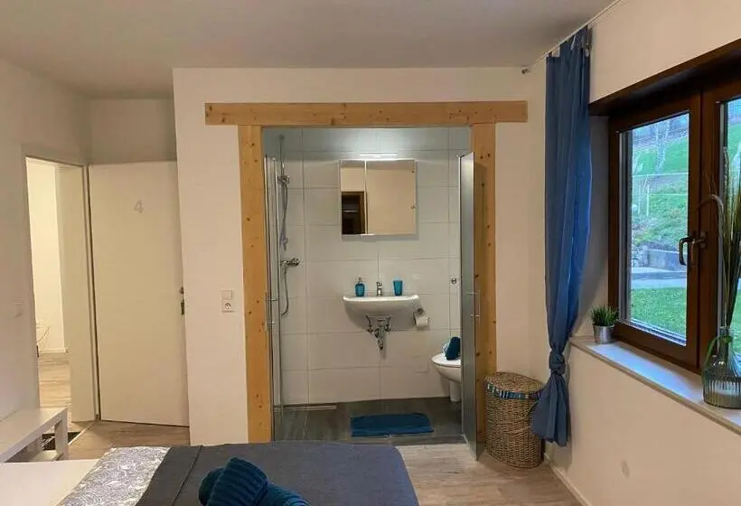 スタンダードシングルルーム, Pension Am Hohberghof Dielheim